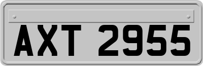 AXT2955