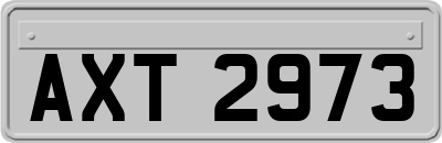 AXT2973