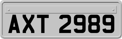 AXT2989