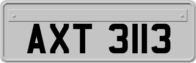 AXT3113