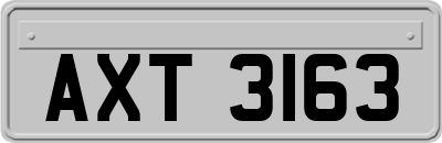 AXT3163