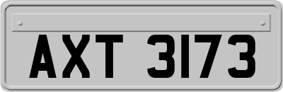AXT3173