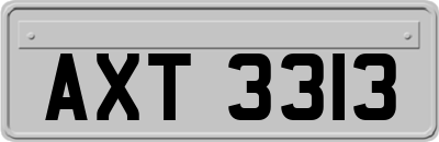 AXT3313