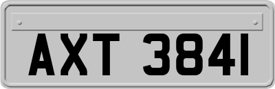 AXT3841