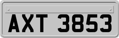 AXT3853