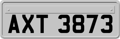 AXT3873