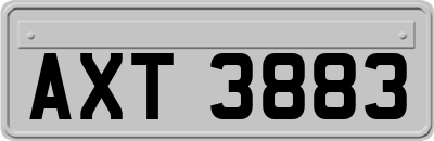 AXT3883