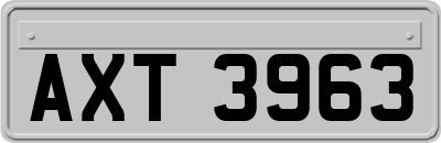AXT3963