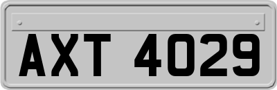AXT4029
