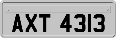 AXT4313