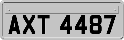 AXT4487