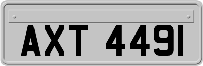 AXT4491
