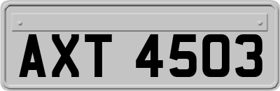 AXT4503