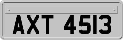 AXT4513