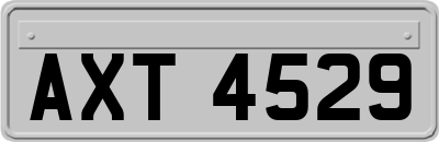 AXT4529