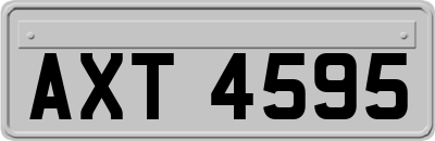 AXT4595