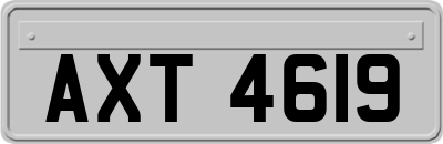 AXT4619