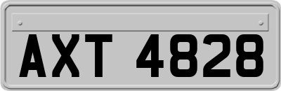 AXT4828