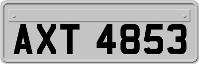 AXT4853