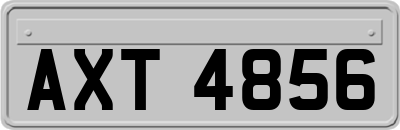 AXT4856