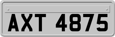 AXT4875