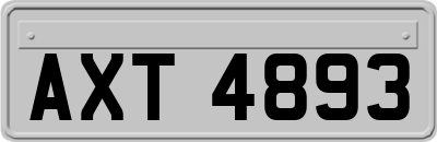 AXT4893