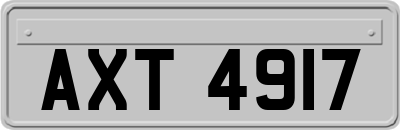 AXT4917