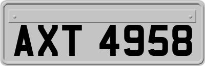 AXT4958