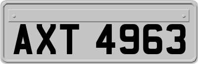 AXT4963