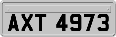 AXT4973