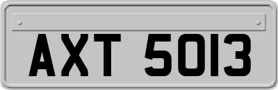 AXT5013