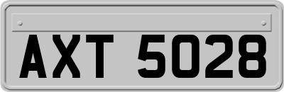 AXT5028