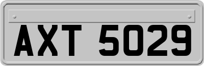 AXT5029