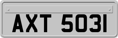 AXT5031
