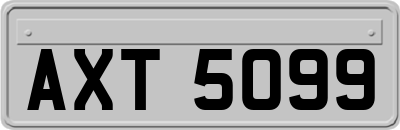 AXT5099