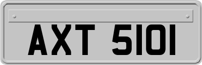 AXT5101