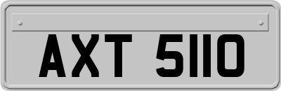AXT5110
