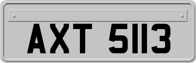 AXT5113