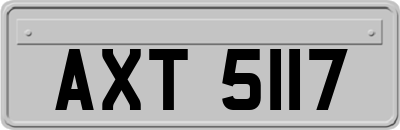 AXT5117