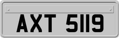 AXT5119