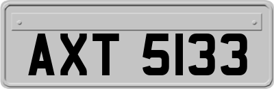 AXT5133