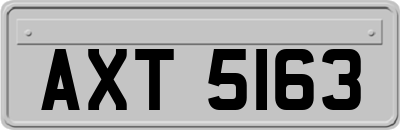 AXT5163