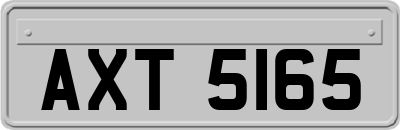 AXT5165