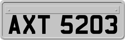 AXT5203