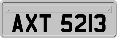 AXT5213