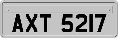 AXT5217