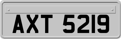 AXT5219