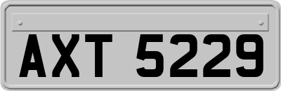 AXT5229