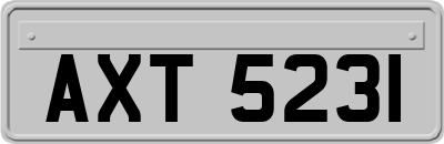 AXT5231