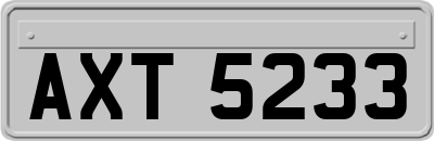 AXT5233